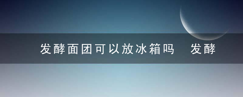 发酵面团可以放冰箱吗 发酵面团能放冰箱吗